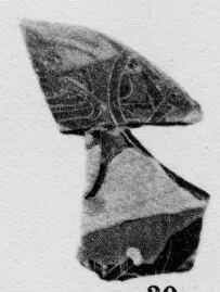 CUP, FRAGMENT (ATHENIAN, BLACK-FIGURE)