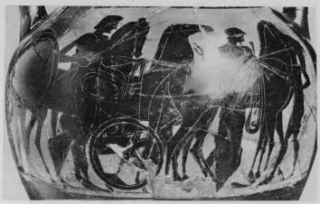 AMPHORA, BELLY, TYPE B (ATHENIAN, BLACK-FIGURE)
