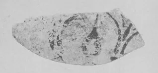 AMPHORA, BELLY, FRAGMENT (EAST GREEK, FIKELLURA)