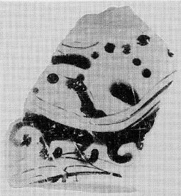 KRATER, BELL, FRAGMENT (ATHENIAN, RED-FIGURE)