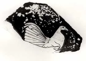 FRAGMENT (ATHENIAN, RED-FIGURE)