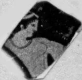 CUP, FRAGMENT (ATHENIAN, RED-FIGURE)