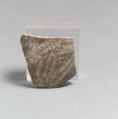 Vase fragment