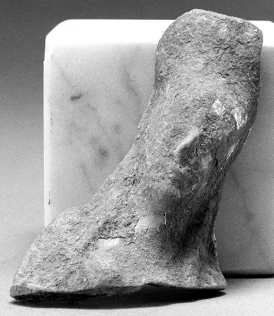 Female Head