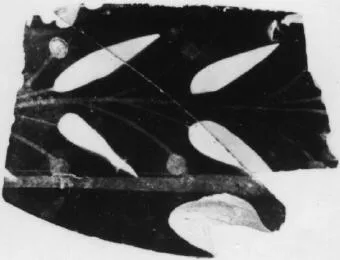 SKYPHOS, FRAGMENT (ATHENIAN, RED-FIGURE)