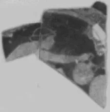 CUP, FRAGMENT (ATHENIAN, RED-FIGURE)