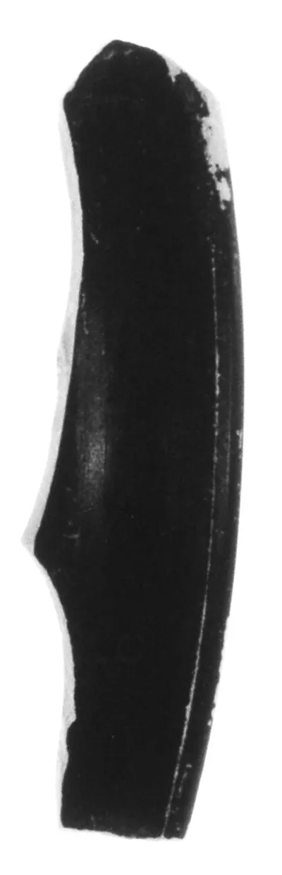 Attic Black-Figure Band Cup Fragment