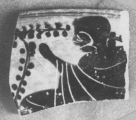CUP, FRAGMENT (ATHENIAN, BLACK-FIGURE)