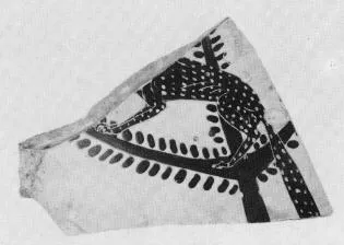 AMPHORA, NECK, FRAGMENT (ATHENIAN, BLACK-FIGURE)