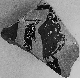 AMPHORA, NECK, FRAGMENT (ATHENIAN, BLACK-FIGURE)