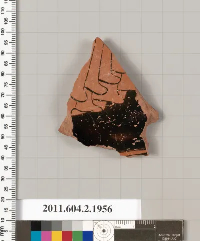 Terracotta fragment of a pelike (jar)?