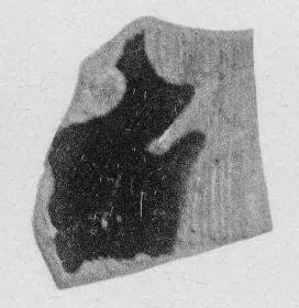 CUP, FRAGMENT (ATHENIAN, RED-FIGURE)