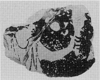 LEKYTHOS, SQUAT (ATHENIAN, RED-FIGURE)