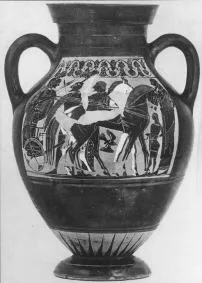 AMPHORA, BELLY, TYPE B (ATHENIAN, BLACK-FIGURE)