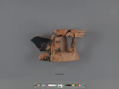Attic Black-Figure Column Krater Fragment (part of 81.AE.207.408, comprised of 13 Joined Fragments)