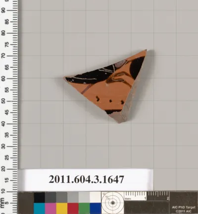 Terracotta fragment of a kylix: Band cup (drinking cup)