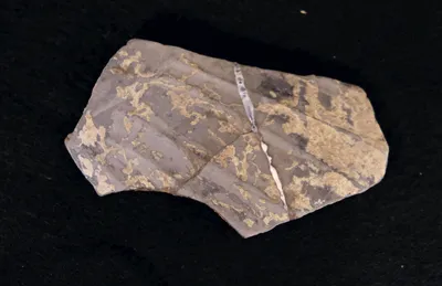 vase ; fragment