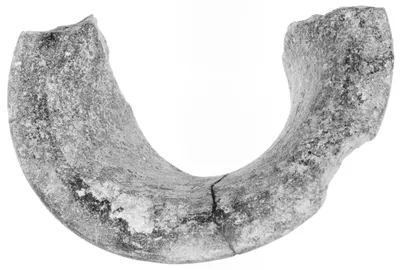 Foot Fragment