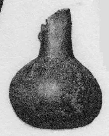 JUG (VILLA NOVA)