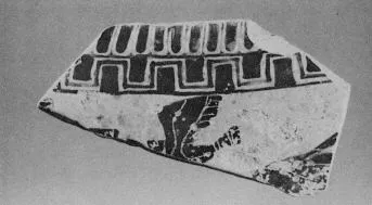 AMPHORA, BELLY, FRAGMENT (ATHENIAN, BLACK-FIGURE)
