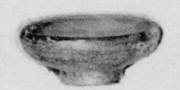BOWL (SOUTH ITALIAN, CAMPANIAN, BLACK GLAZE)