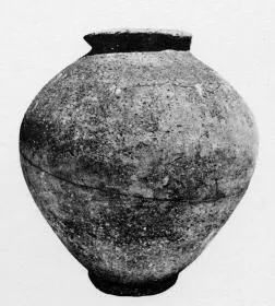 DOLIUM (SOUTH ITALIAN)