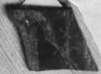 CUP, FRAGMENT (ATHENIAN, RED-FIGURE)