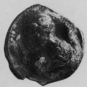DISC (HELLENISTIC, RELIEF)