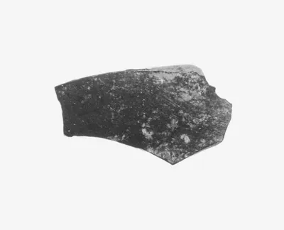 Attic Black-Figure Cup Fragment