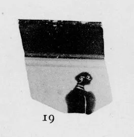 SKYPHOS, FRAGMENT (ATHENIAN, BLACK-FIGURE)