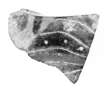 Attic Black-Figure Cup Fragment