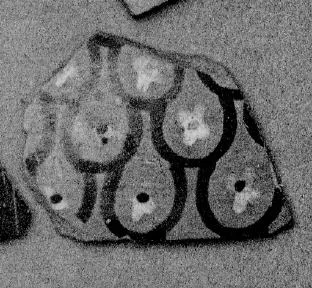 AMPHORA, NECK, FRAGMENT (EAST GREEK, CLAZOMENIAN)