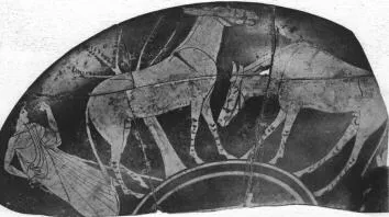 CUP, FRAGMENT (ATHENIAN, RED-FIGURE)
