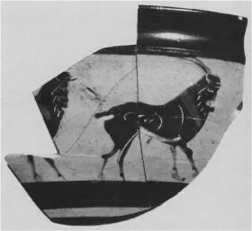 SKYPHOS, FRAGMENT (ATHENIAN, BLACK-FIGURE)