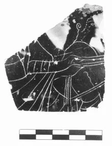 AMPHORA, BELLY, FRAGMENT (ATHENIAN, BLACK-FIGURE)
