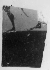 CUP, LITTLE MASTER BAND, FRAGMENT (ATHENIAN, BLACK-FIGURE)