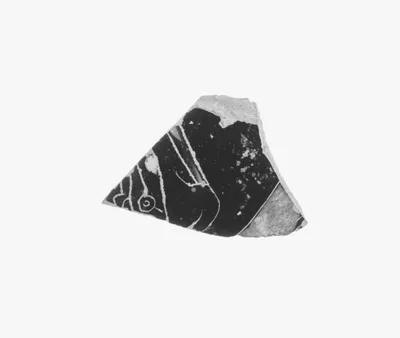 Attic Black-Figure Oinochoe Fragment
