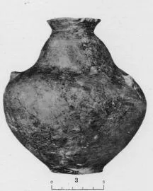 AMPHORA, BELLY (ITALIAN IRON AGE)