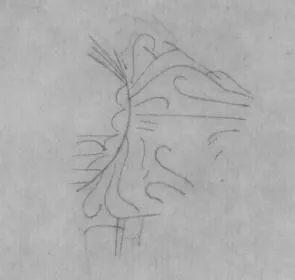 HYDRIA, FRAGMENTS (ATHENIAN, RED-FIGURE)