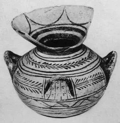 OLLA (DAUNIAN)