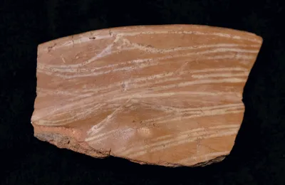 vase ; fragment