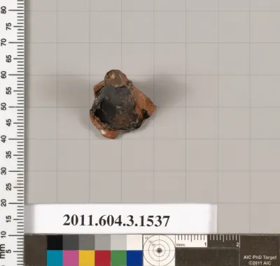 Terracotta fragment of a kylix (drinking cup)