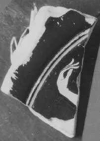 PLATE, FRAGMENT (ATHENIAN, RED-FIGURE)