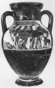 AMPHORA, BELLY, TYPE B (ATHENIAN, BLACK-FIGURE)