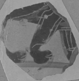 FRAGMENT (ATHENIAN, BLACK-FIGURE)