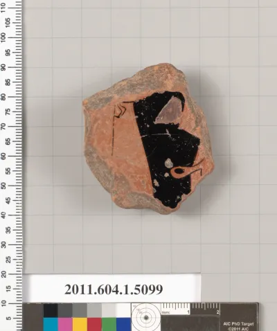 Terracotta fragment of a kylix (drinking cup)