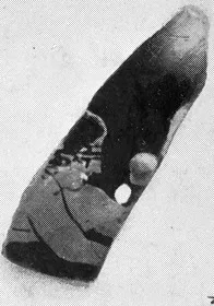 CHOUS, FRAGMENT (ATHENIAN, RED-FIGURE)