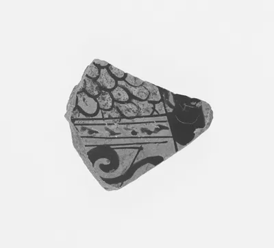 Attic Red-Figure Amphora Fragment