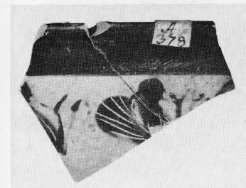 SKYPHOS, FRAGMENT (ATHENIAN, BLACK-FIGURE)
