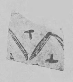 AMPHORA, BELLY, FRAGMENT (EAST GREEK, FIKELLURA)